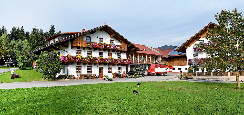 Oed-Hof, Familie Engl